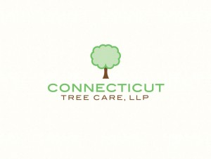 Connecticut Tree Care